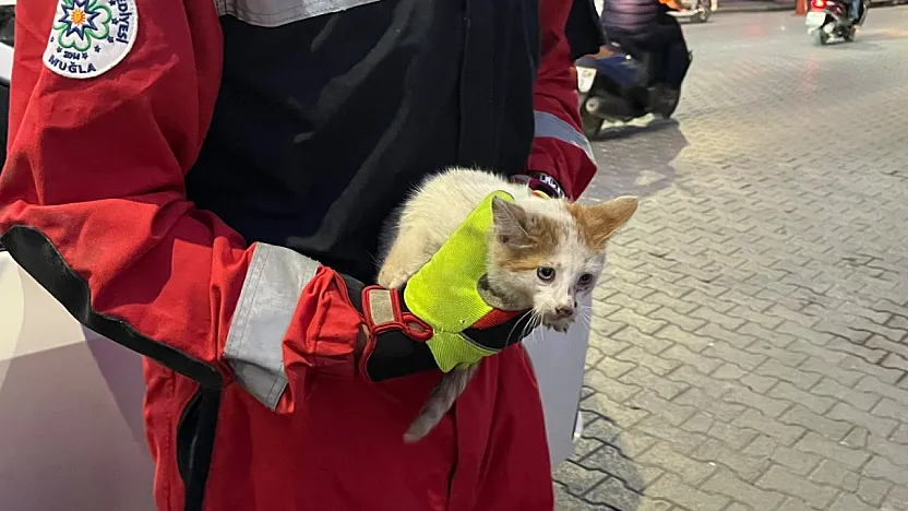 Fethiye'de kaputa giren kedi için seferber oldular