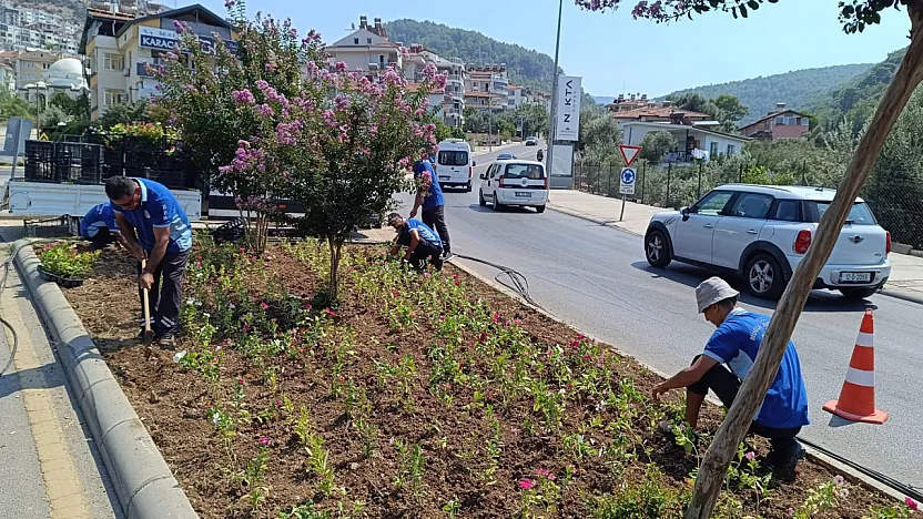 Fethiye'de kavşaklara estetik dokunuş: Peyzaj çalışmaları sürüyor
