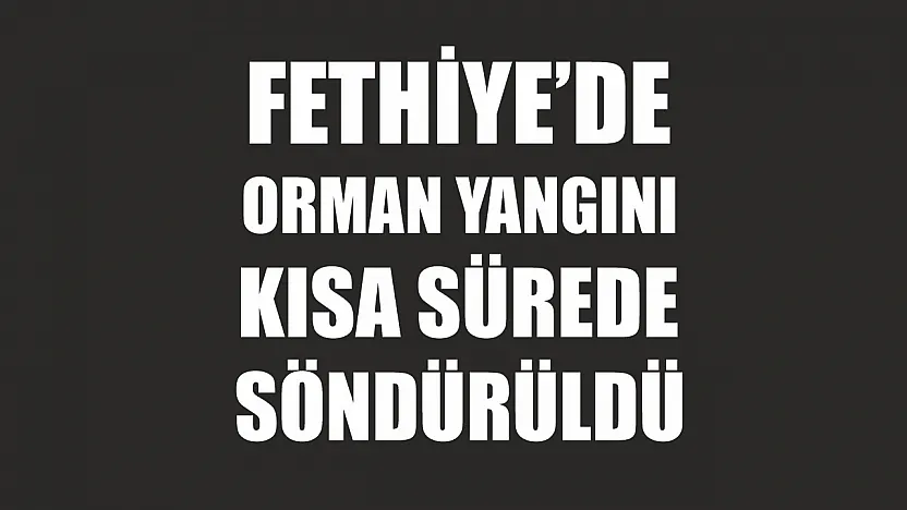 Fethiye'de orman yangını kısa sürede söndürüldü