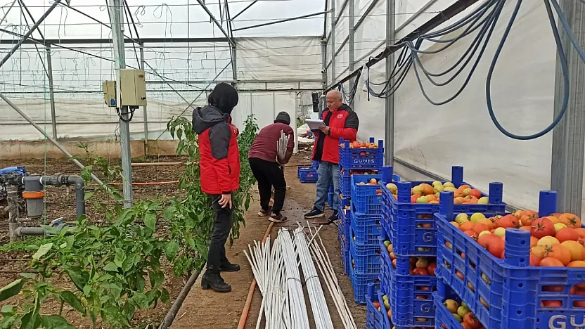 Fethiye'de seralarda hasar tespit çalışmaları sürüyor