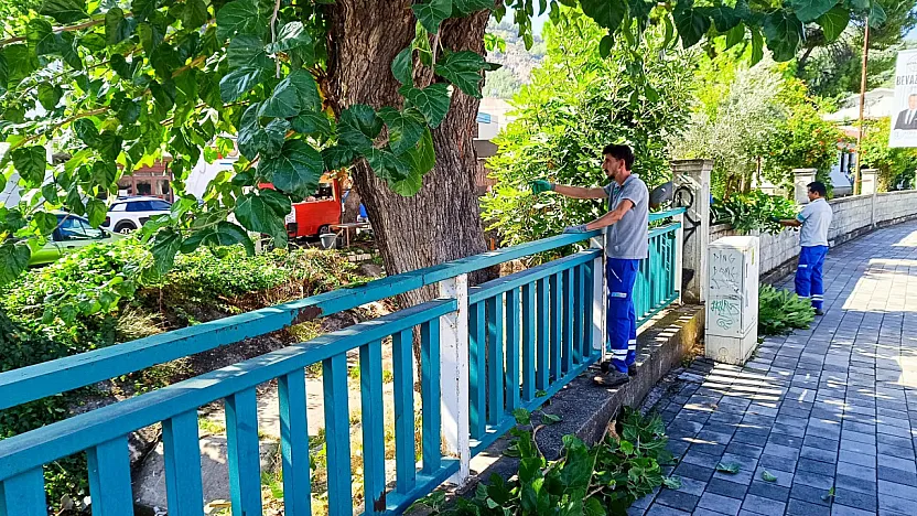 Fethiye'de trafik güvenliği için ağaçlar budanıyor