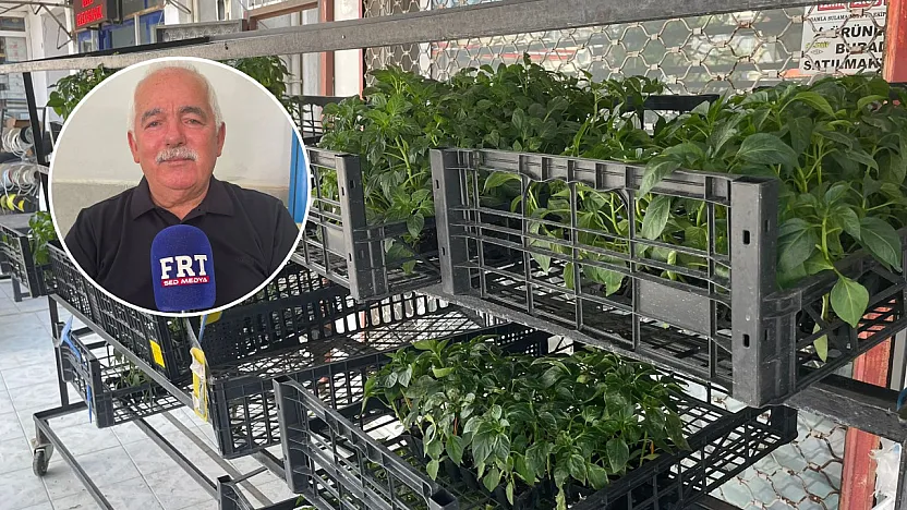 Fethiye'de üreticilere uyarı: Sıcaklıklar bitki hastalıklarını tetikliyor