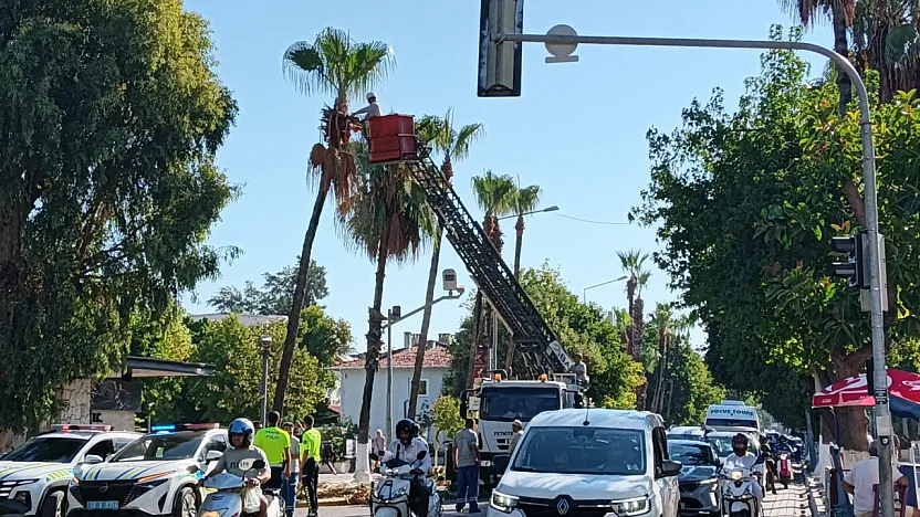 Fethiye'de yeşil dokunun bakımı sürüyor