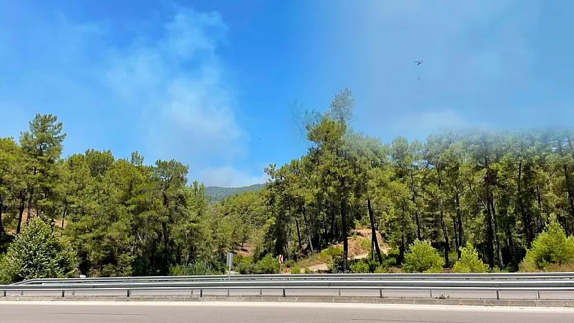 Fethiye Gökçeovacık'ta orman yangınına havadan ve karadan müdahale