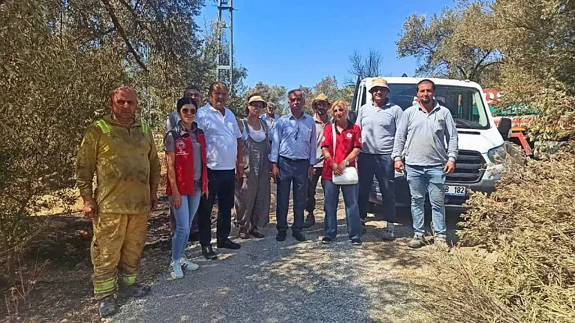 Fethiye İnlice Mahallesi'nde yangından etkilenen zeytinliklerde ön inceleme yapıldı