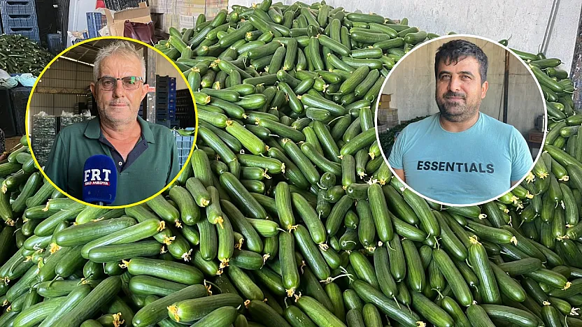 Fethiye Karaçulha Hali'nde salatalık sezonu zor başladı: Üretici de komisyoncu da kazanamıyor