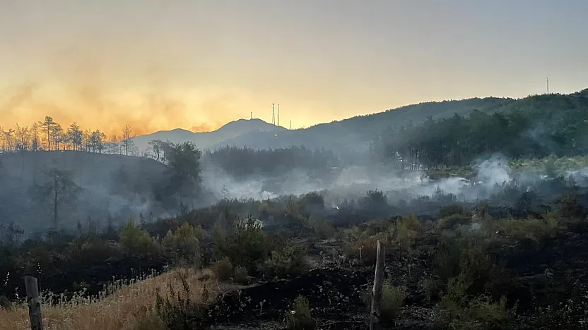 Fethiye Yeşilüzümlü'de alevlerle zorlu mücadele sürüyor