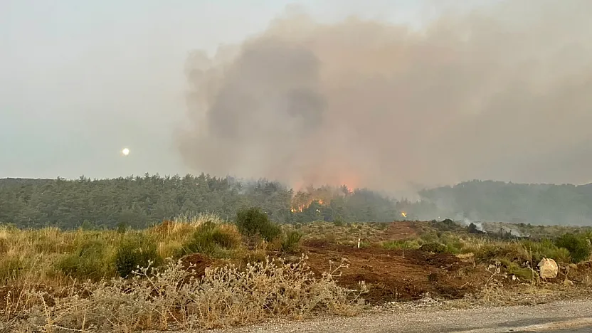 Fethiye Yeşilüzümlü yangınında son durum: Çenger Tepesi'nde kritik müdahale sürüyor