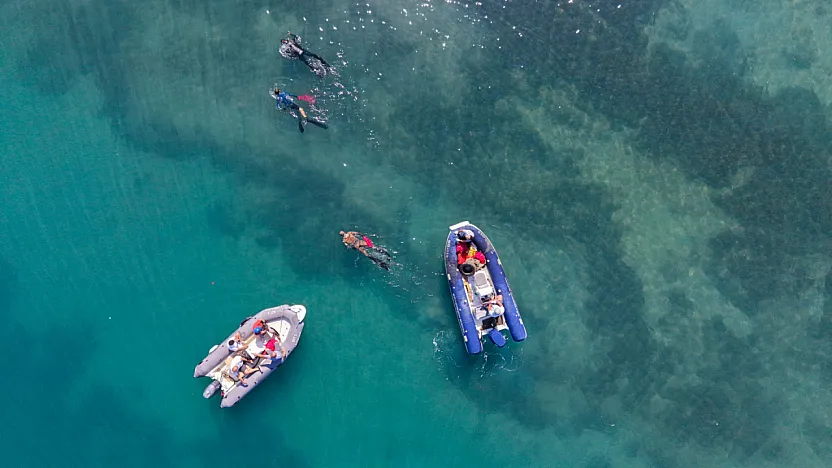 Gümbet'te deniz dibinden 310 kilogram atık çıktı