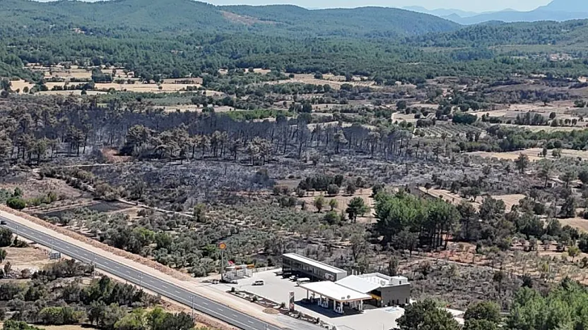 Menteşe'de alevler geride kara bir tablo bıraktı: 150 hektar zarar gördü