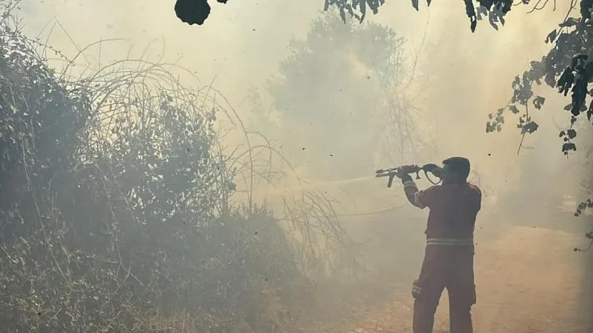 Menteşe'de çıkan anız yangını büyümeden söndürüldü