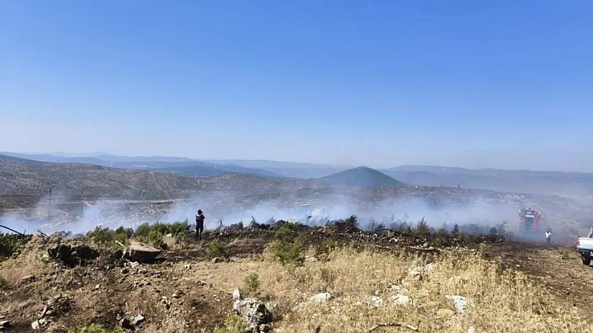 Menteşe'de makilik yangını