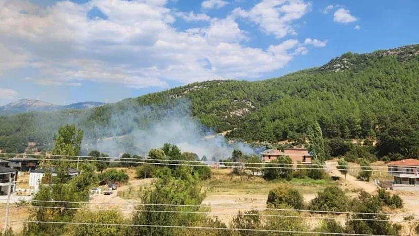 Menteşe'de otluk alanda yangın