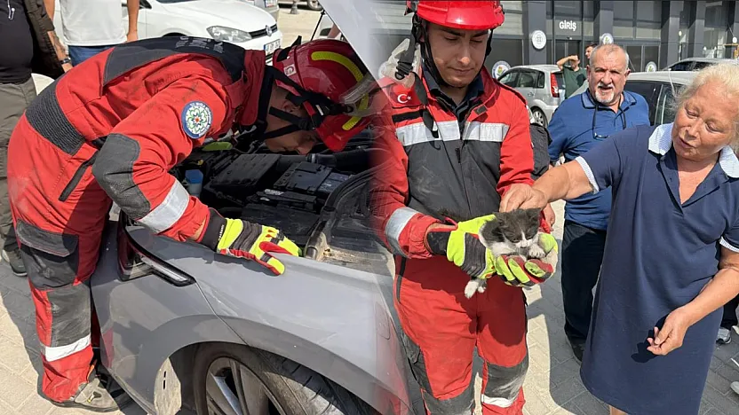 Menteşe'de otomobilin motoruna sıkışan kedi kurtarıldı