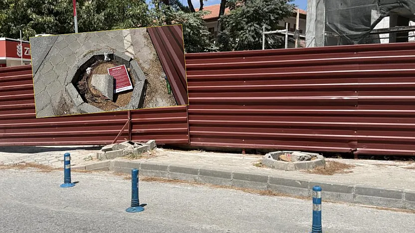 Menteşe'de riskli ağaçlar için kesim ve budama çalışması