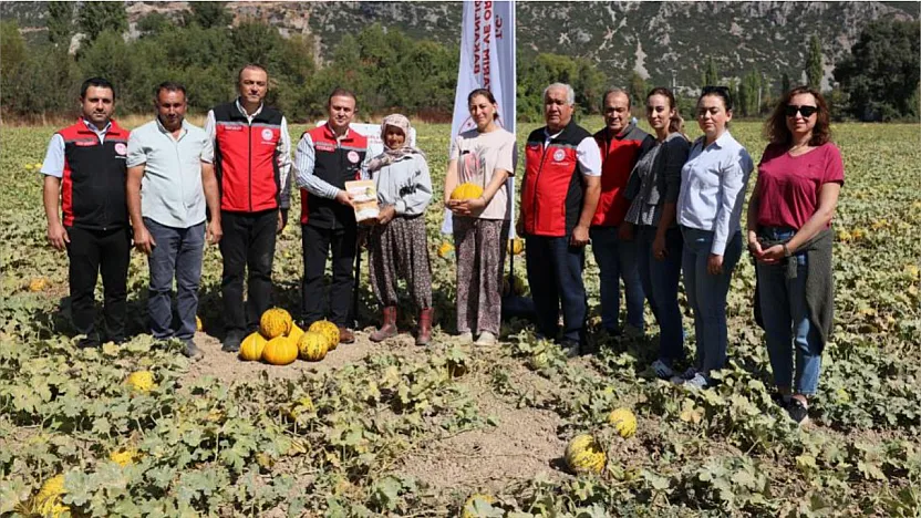 Menteşe Karabağlar yaylasında asırlık lezzetin hasat zamanı