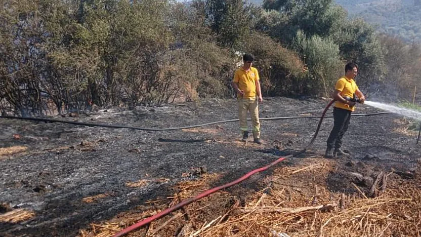 Milas Bafa'da tarım arazisindeki yangın söndürüldü