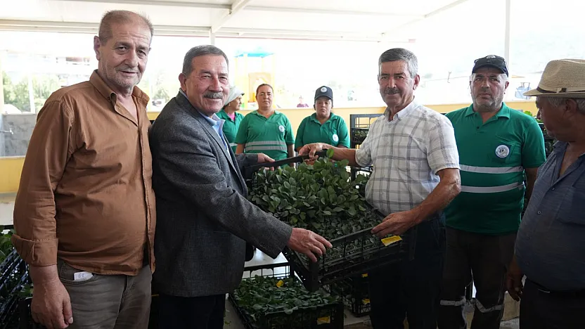 Milas Belediyesi Kışlık Sebze Fidelerini Üreticilerle Buluşturdu