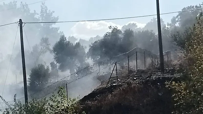 Milas-Söke karayolu üzerindeki yangın büyümeden söndürüldü