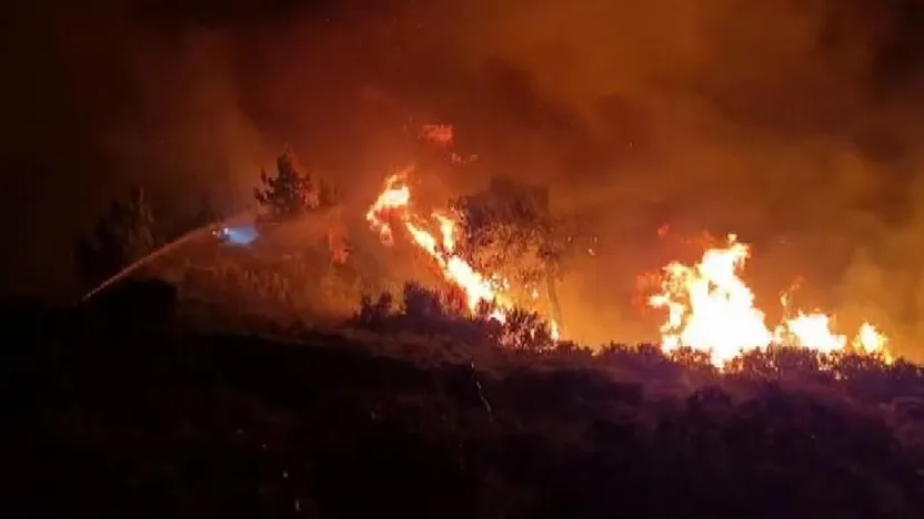 Milas'ta alevler geceyi aydınlattı