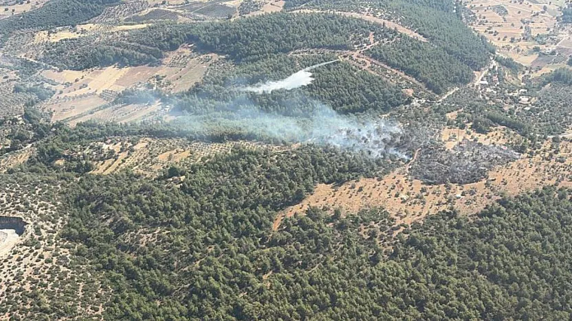 Milas'ta çıkan zirai yangın kısa sürede kontrol altına alındı