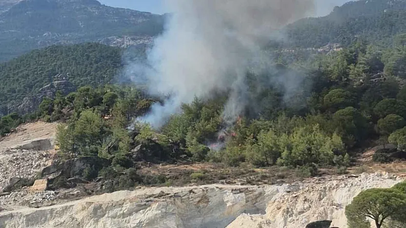 Milas'ta orman yangını