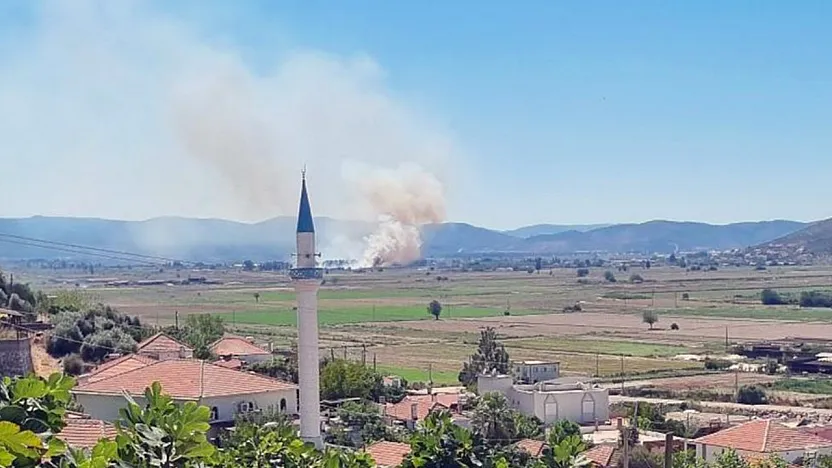Milas Yaşyer'de ot ve sazlık yangını