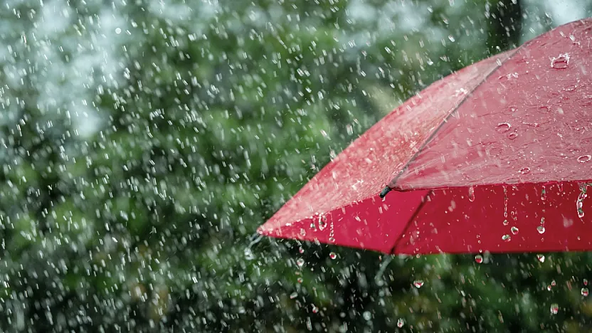 Muğla'da 13 ilçeye sağanak uyarısı! Cumartesi günü gök gürültülü yağış bekleniyor