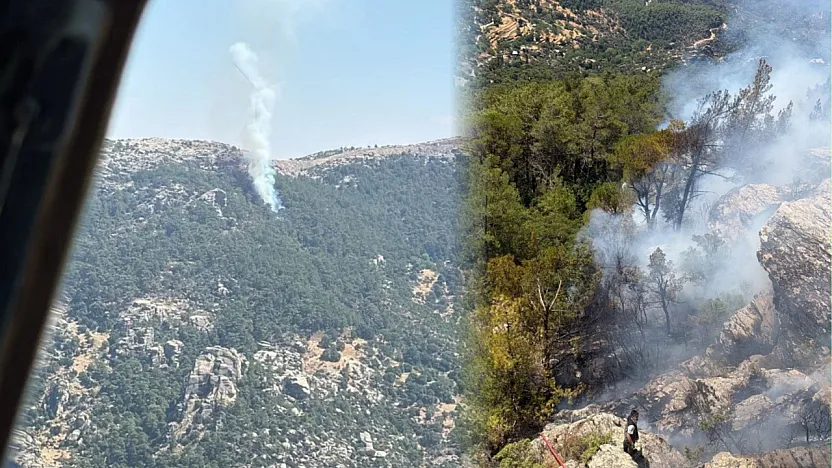 Muğla'da çıkan orman yangını söndürüldü