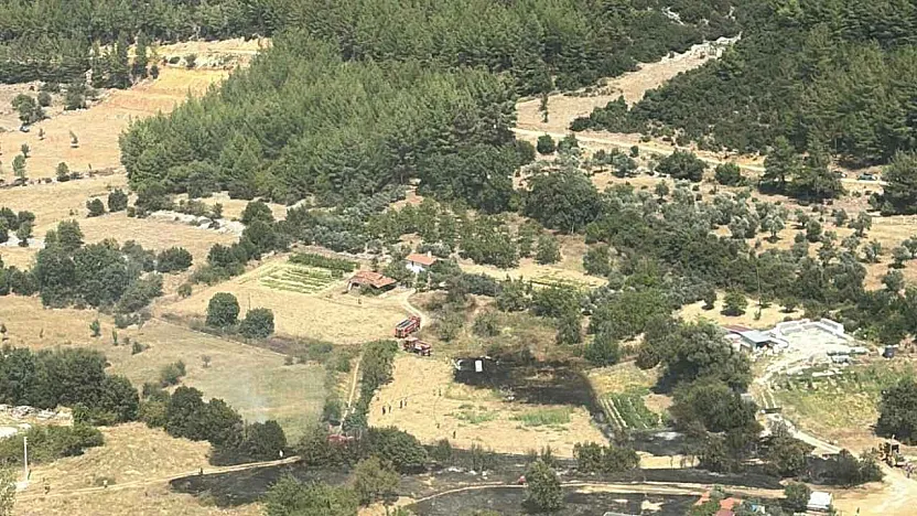 Muğla'da çıkan orman yangını söndürüldü