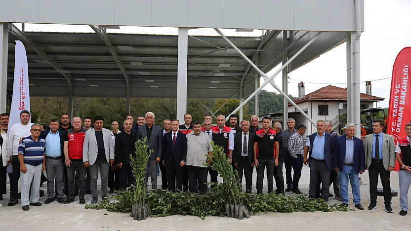 Muğla'da Defne ihracatından 75 milyon dolar bekleniyor