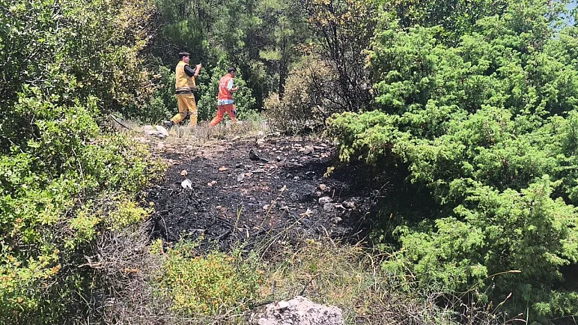 Muğla'da orman yangını ekiplerin hızlı müdahalesi ile söndürüldü