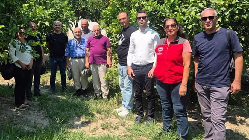 Muğla'da turunçgil üretiminde biyolojik mücadele çalışmaları sürüyor