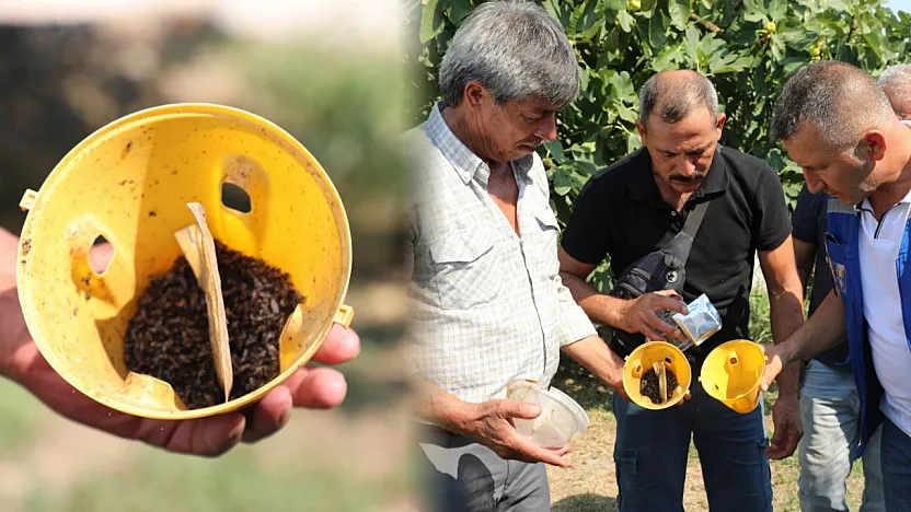 Muğla'da üreticinin emeğine çevre dostu koruma