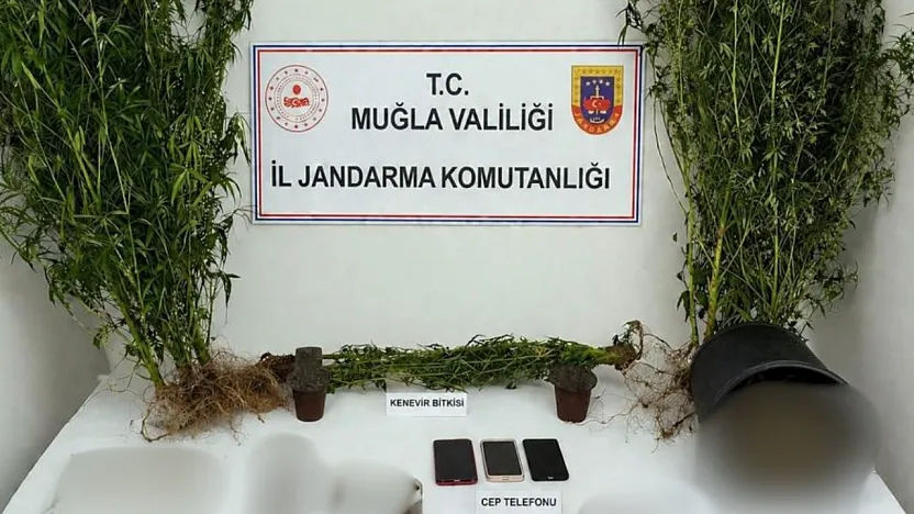 Muğla Jandarmasından uyuşturucu tacirlerine operasyon: 33 tutuklama