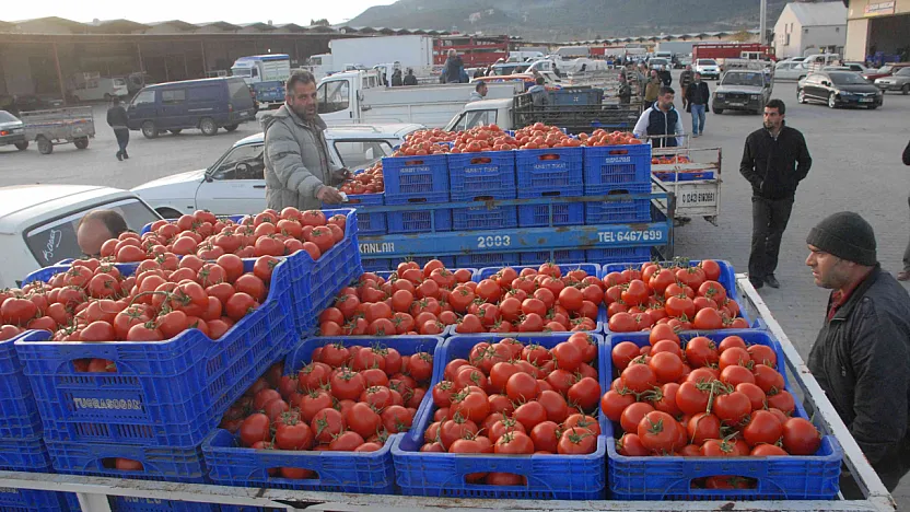 Muğla'nın Haziran ayı ihracatı 125,9 milyon dolar