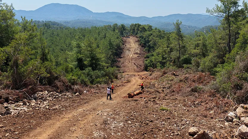 Muğla ve Aydın'da Orman yangın şerit yolu uzunluğu 2 bin kilometreye çıkıyor