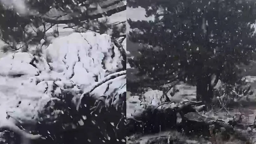 Muğla'ya sezonun ilk karı yağdı