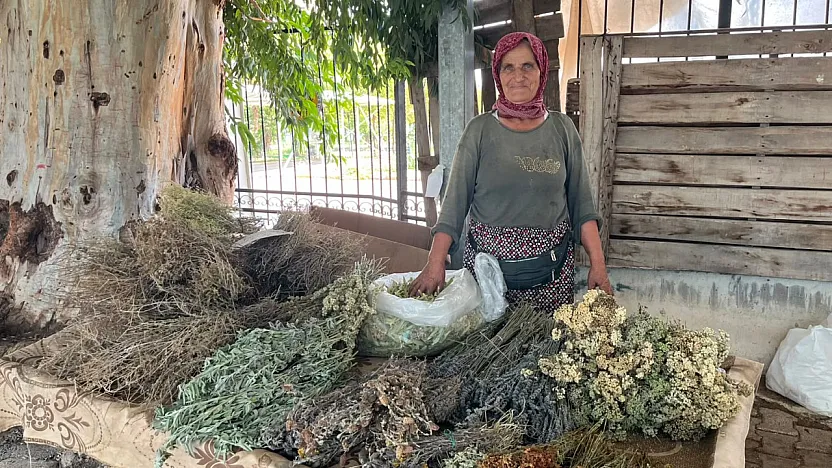 Nif'in dağlarından Fethiye Salı Pazarı'na: Doğanın şifasını tezgahına taşıyor