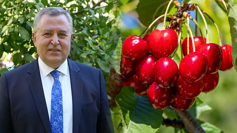 Nif Kirazı'na Coğrafi İşaret Müjdesi