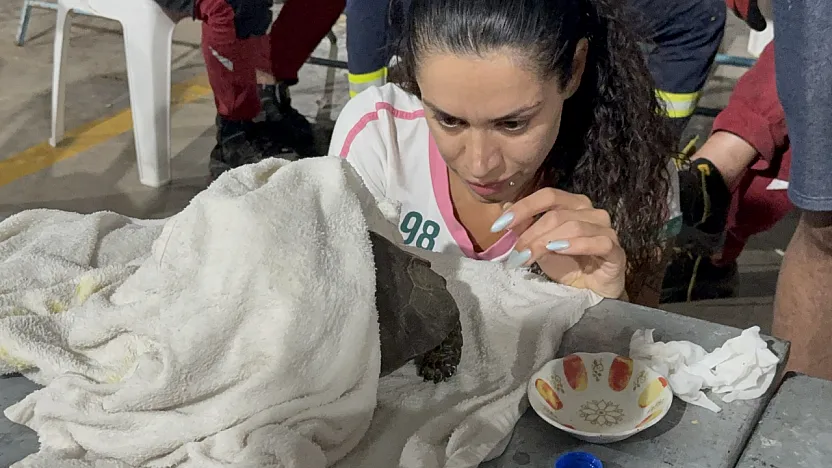 Seydikemer'de alevlerin arasından kurtarılan kaplumbağa için zamanla yarışıldı