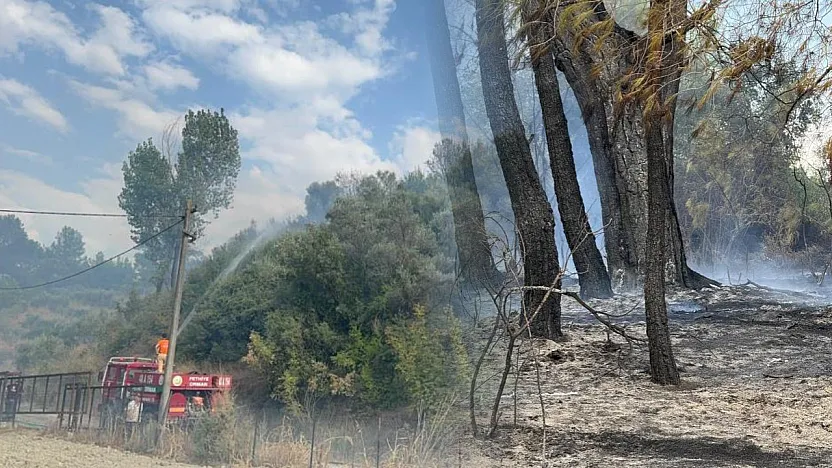 Seydikemer'de orman yangını kontrol altına alındı