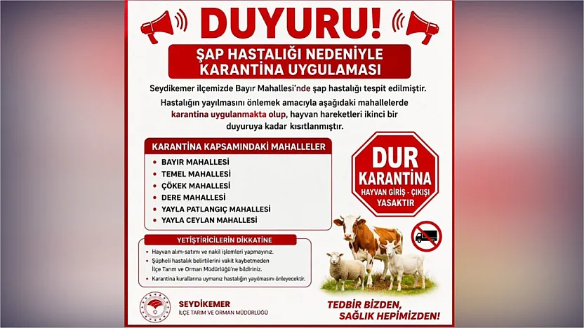 Seydikemer'de şap alarmı: 6 mahalle karantinaya alındı