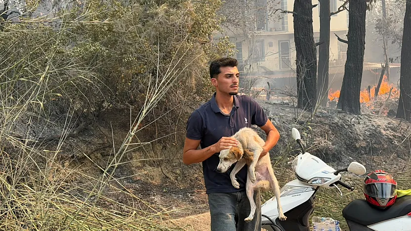 Seydikemer'de tahliyeler sürüyor: Dereköy'de evler ve hayvanlar güvenli alanlara taşınıyor