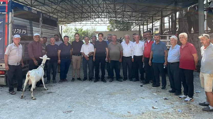 Seydikemer'de yangında hayvanlarını kaybeden çiftçilere küçükbaş hayvan desteği