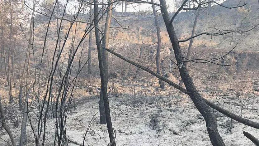 Seydikemer'de Yangının İlerleyişi Büyük Ölçüde Kontrol Altına Alındı