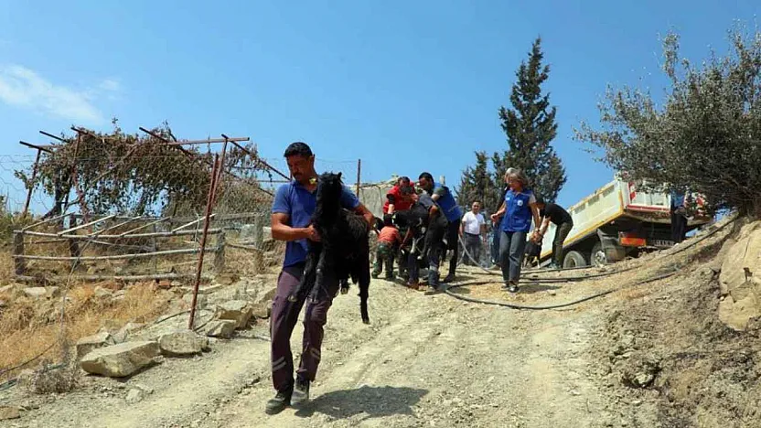 Seydikemer'de yaralar hızla sarılıyor