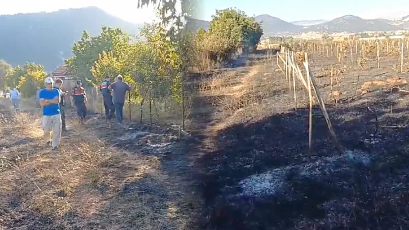 Seydikemer'de zirai alanda yangın: Üzüm bağları ve bahçeler zarar gördü