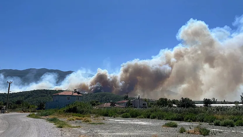 Seydikemer Korubükü Mahallesi'nde Orman Yangını! Havadan ve Karadan Müdahale Başladı