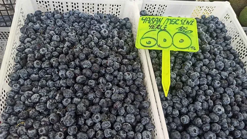 Yaban mersininde sezon sonu etkisi: Fethiye'de kilosu 600 TL